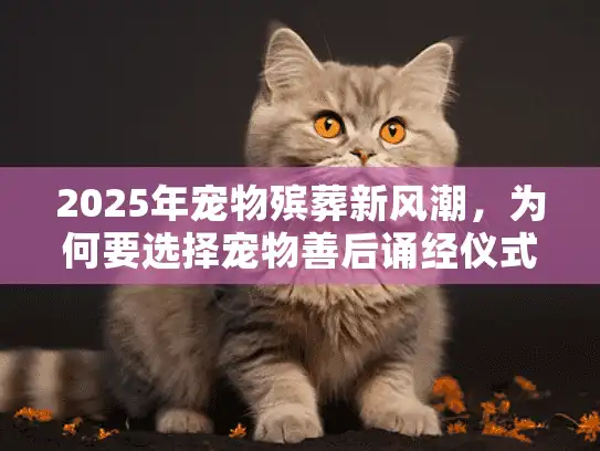 2025年宠物殡葬新风潮，为何要选择宠物善后诵经仪式？