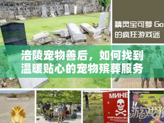 涪陵宠物善后，如何找到温暖贴心的宠物殡葬服务？