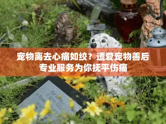 宠物离去心痛如绞？遗爱宠物善后专业服务为你抚平伤痛