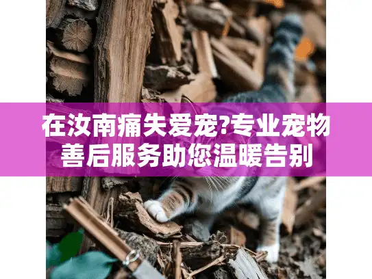 在汝南痛失爱宠?专业宠物善后服务助您温暖告别