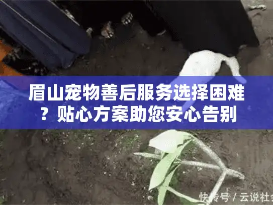 眉山宠物善后服务选择困难？贴心方案助您安心告别