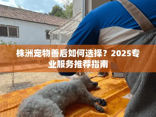 株洲宠物善后如何选择？2025专业服务推荐指南