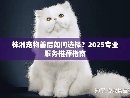 株洲宠物善后如何选择？2025专业服务推荐指南