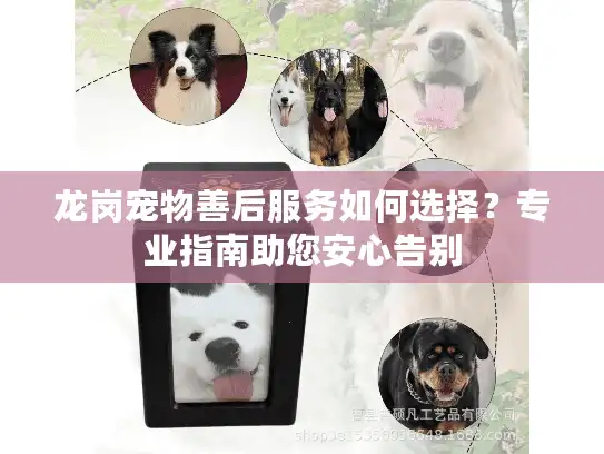 龙岗宠物善后服务如何选择？专业指南助您安心告别