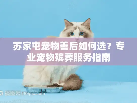 苏家屯宠物善后如何选？专业宠物殡葬服务指南