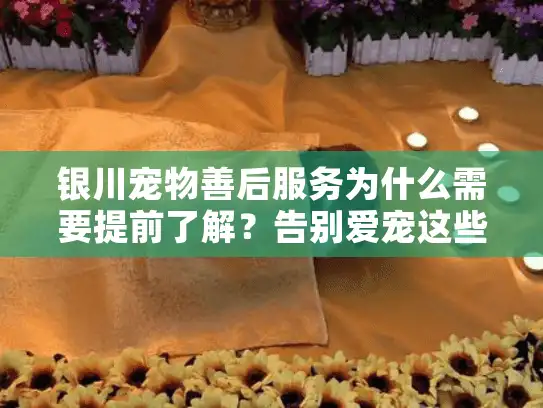 银川宠物善后服务为什么需要提前了解？告别爱宠这些准备要做好