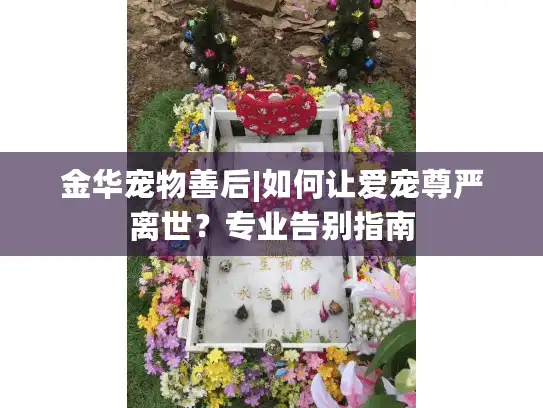 金华宠物善后|如何让爱宠尊严离世？专业告别指南