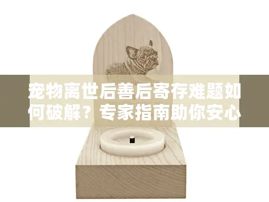 宠物离世后善后寄存难题如何破解？专家指南助你安心选择