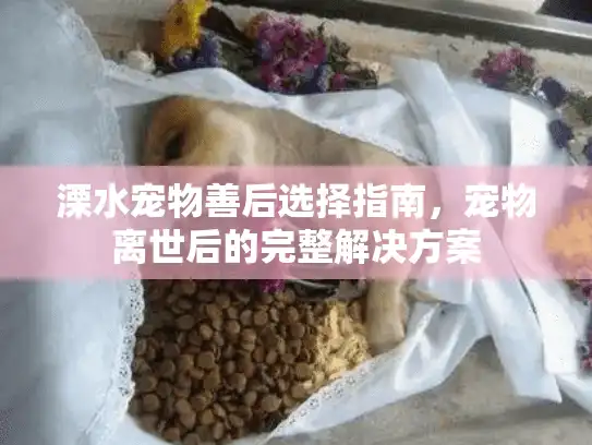 溧水宠物善后选择指南，宠物离世后的完整解决方案