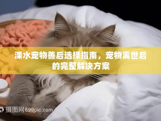 溧水宠物善后选择指南，宠物离世后的完整解决方案