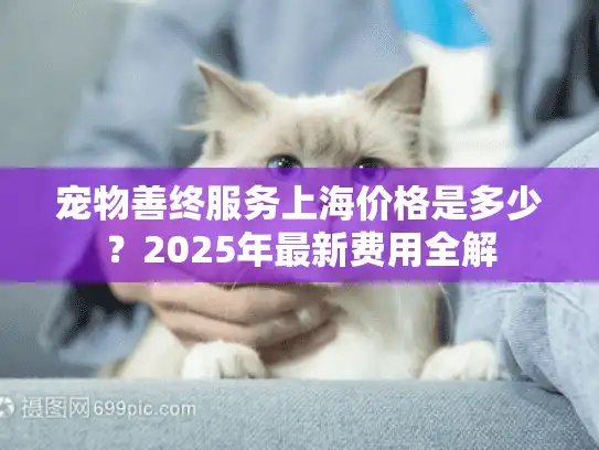 宠物善终服务上海价格是多少？2025年最新费用全解