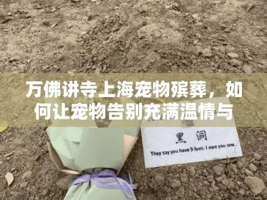 万佛讲寺上海宠物殡葬，如何让宠物告别充满温情与尊严？