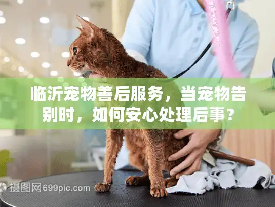 临沂宠物善后服务，当宠物告别时，如何安心处理后事？