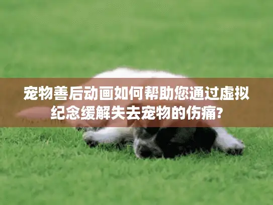 宠物善后动画如何帮助您通过虚拟纪念缓解失去宠物的伤痛?