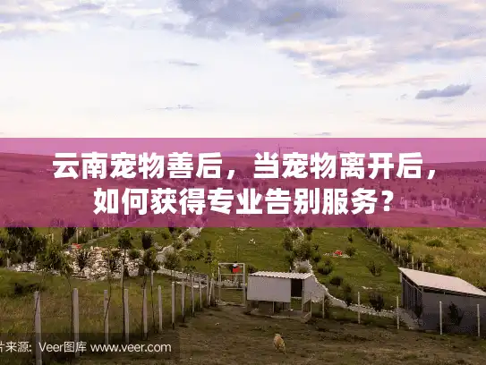 云南宠物善后，当宠物离开后，如何获得专业告别服务？