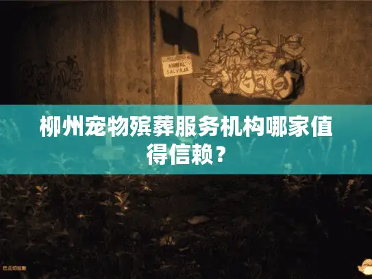 柳州宠物殡葬服务机构哪家值得信赖？
