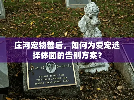 庄河宠物善后，如何为爱宠选择体面的告别方案？