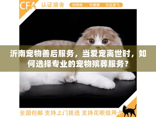 沂南宠物善后服务，当爱宠离世时，如何选择专业的宠物殡葬服务？