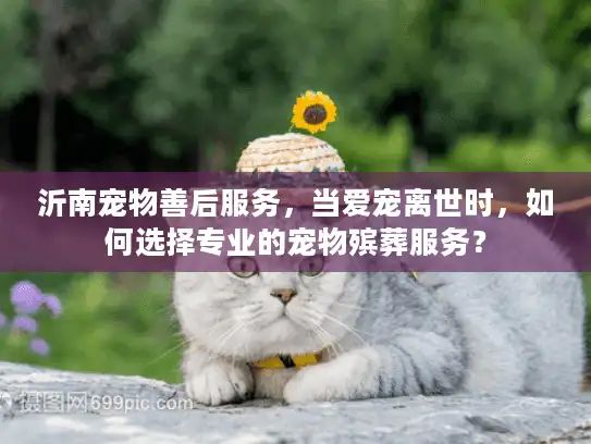 沂南宠物善后服务，当爱宠离世时，如何选择专业的宠物殡葬服务？