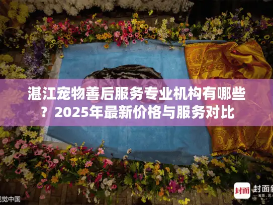 湛江宠物善后服务专业机构有哪些？2025年最新价格与服务对比