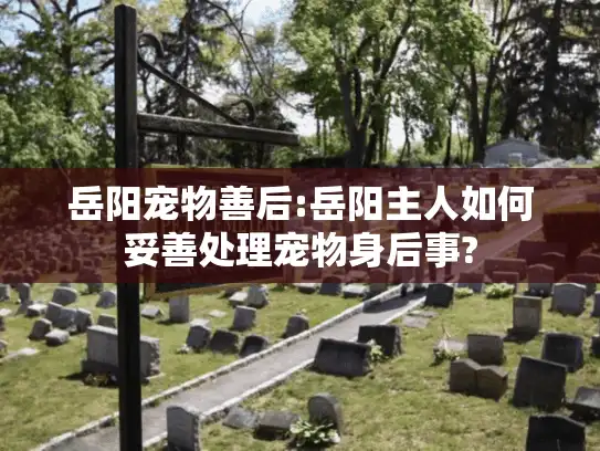 岳阳宠物善后:岳阳主人如何妥善处理宠物身后事?