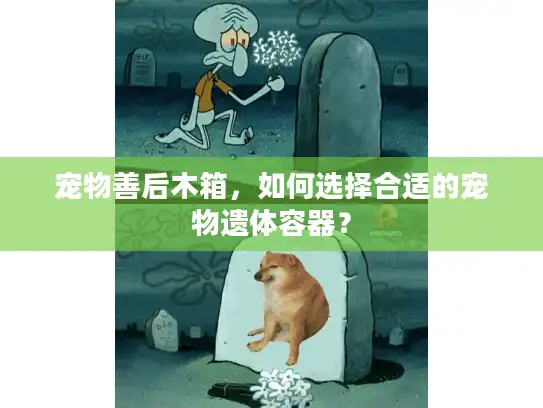 宠物善后木箱，如何选择合适的宠物遗体容器？