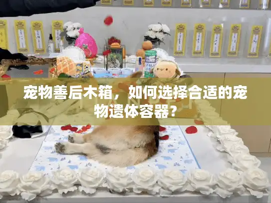 宠物善后木箱，如何选择合适的宠物遗体容器？