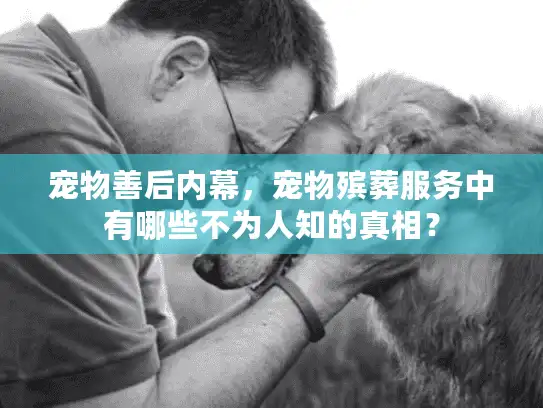 宠物善后内幕，宠物殡葬服务中有哪些不为人知的真相？