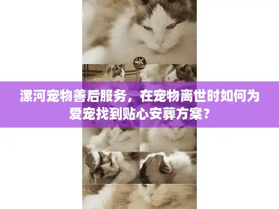 漯河宠物善后服务，在宠物离世时如何为爱宠找到贴心安葬方案？