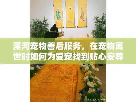 漯河宠物善后服务，在宠物离世时如何为爱宠找到贴心安葬方案？