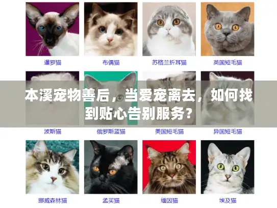 本溪宠物善后，当爱宠离去，如何找到贴心告别服务？