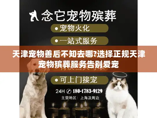 天津宠物善后不知去哪?选择正规天津宠物殡葬服务告别爱宠