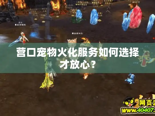 营口宠物火化服务如何选择才放心？