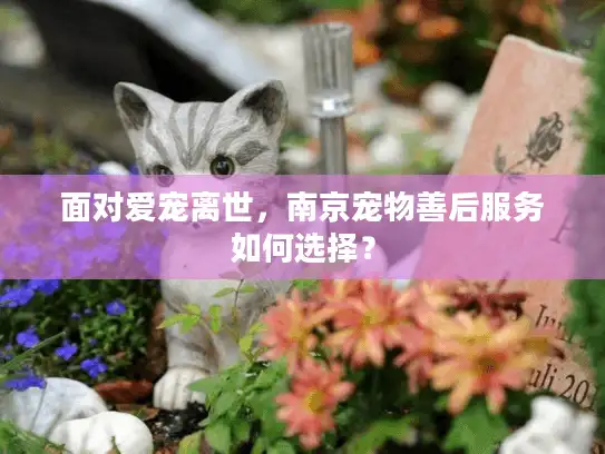面对爱宠离世，南京宠物善后服务如何选择？