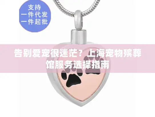 告别爱宠很迷茫？上海宠物殡葬馆服务选择指南