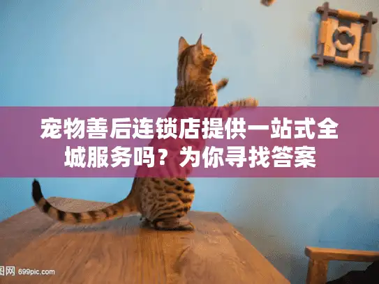 宠物善后连锁店提供一站式全城服务吗？为你寻找答案