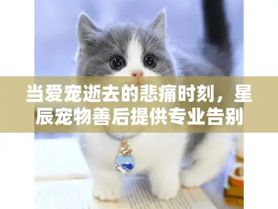 当爱宠逝去的悲痛时刻，星辰宠物善后提供专业告别方案