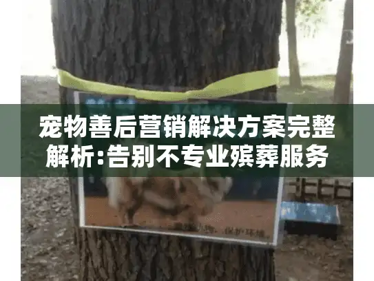 宠物善后营销解决方案完整解析:告别不专业殡葬服务