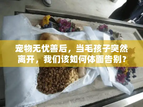 宠物无忧善后，当毛孩子突然离开，我们该如何体面告别？