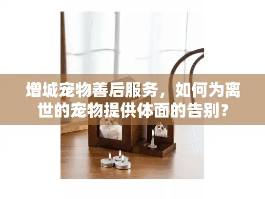 增城宠物善后服务，如何为离世的宠物提供体面的告别？