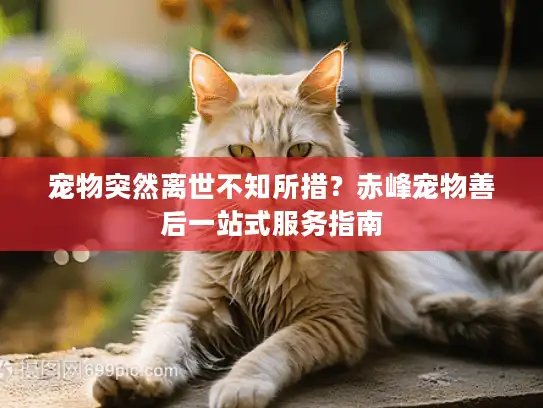 宠物突然离世不知所措？赤峰宠物善后一站式服务指南