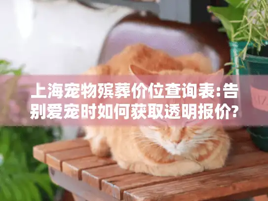上海宠物殡葬价位查询表:告别爱宠时如何获取透明报价?