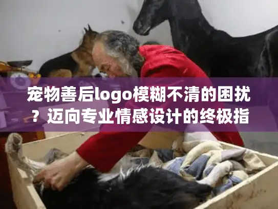 宠物善后logo模糊不清的困扰？迈向专业情感设计的终极指南