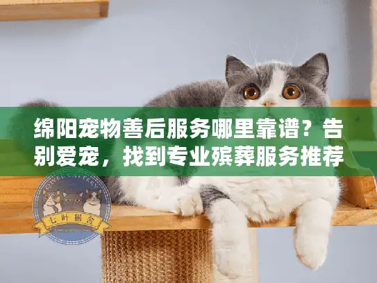 绵阳宠物善后服务哪里靠谱？告别爱宠，找到专业殡葬服务推荐