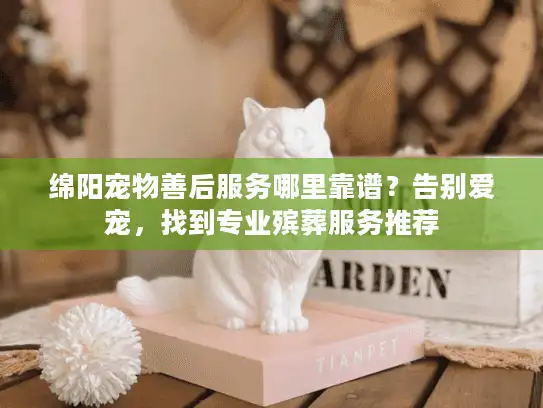 绵阳宠物善后服务哪里靠谱？告别爱宠，找到专业殡葬服务推荐