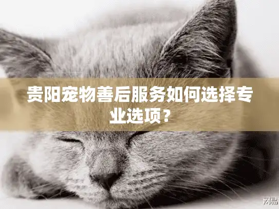 贵阳宠物善后服务如何选择专业选项？
