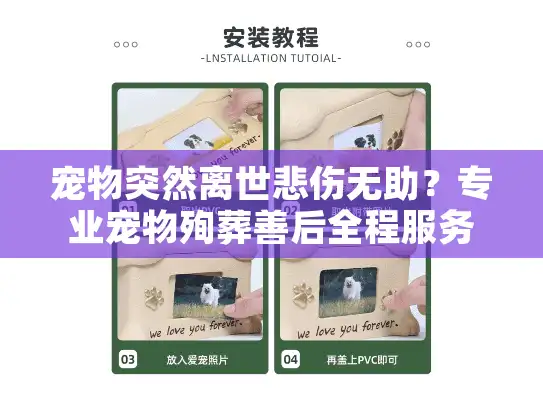 宠物突然离世悲伤无助？专业宠物殉葬善后全程服务助您安心告别