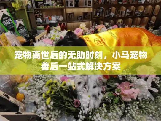 宠物离世后的无助时刻，小马宠物善后一站式解决方案