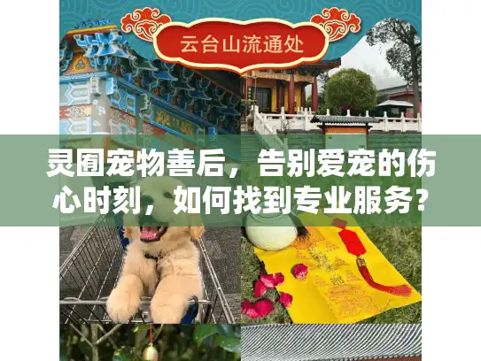 灵囿宠物善后，告别爱宠的伤心时刻，如何找到专业服务？