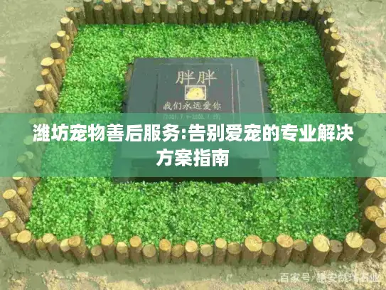 潍坊宠物善后服务:告别爱宠的专业解决方案指南